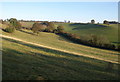 Valley below Sugarswell Farm (2)