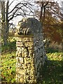 Stone lion, Broughton Place