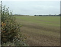 2009 : Field north of the A361