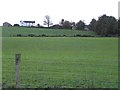 Farmhouse on a hill, Altamuskin