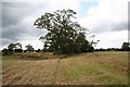 Footpath near Field