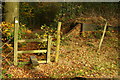 Stile on the Edge of the Woods