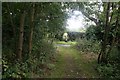 Footpath across Sand Lane