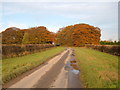 Cross Gate over Goodmanham Wold