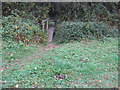 Footbridge over drainage ditch near Lakelands Farm