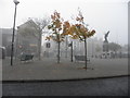 Portadown town centre on a misty Saturday morning