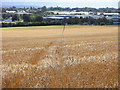 Farmland, Bishops Cannings