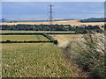 Farmland, Bishops Cannings