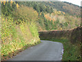 Lane looking towards Trefnant Hall entrance