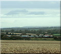 2009 : Stone train from Merehead