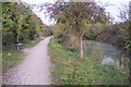 Cyclepath beside the disused Canal