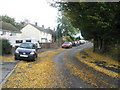 Autumn in Priorsdean Crescent