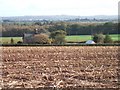 Cutton Cottages seen from Danes Wood