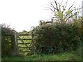 Gate near Templecombe