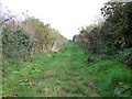 Footpath near Trent