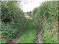 Byway near Trent