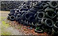 Stacks of Scrap Tyres, Ashfield