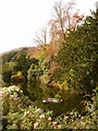 Bonchurch: the pond with a glimpse of distant hills