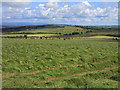 Hay-field above Caldbeck