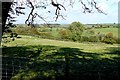 Farmland at New House