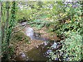 Stream near Leigh