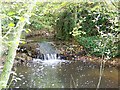 Stream near Leigh