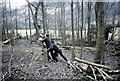 Coppicing in Hadleigh Country Park