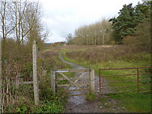 SK2267 : Bridleway, Bakewell by Peter Barr