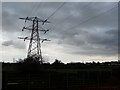 Pylon, in a field behind Wavell Grove