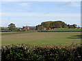 View across field to White Lodge Farm