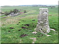 High Wheeldon trig point S4154 towards Wheeldon Trees