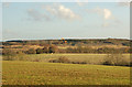 Farmland near the A425 with Harbury landfill site in the distance