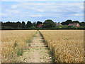 SU7793 : Farmland with footpath near Cadmore End by Andrew Smith