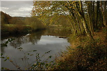 SO6017 : River Wye at Lower Lydbrook by Philip Halling