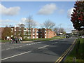 Canford Heath, Downland Place Estate