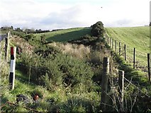 H5675 : Near Loughmacrory by Kenneth  Allen