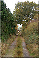 Track to old barns, Welsh Road near Southam Holt