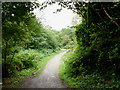 Path from canal to Bettws