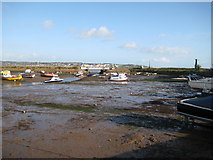 SX9780 : Low tide - Cockwood Harbour by Sarah Smith