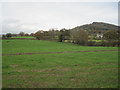 Fields just outside 30mph limit on minor road