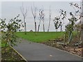 Tarmac path at the edge of the suburbs