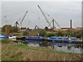 Boats with permanent moorings on the canal