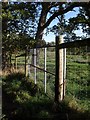 Deer fence, Powderham Deer Park