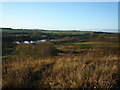 Kelham Bridge Nature Reserve