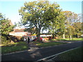 Approaching the junction of an autumnal Riders Lane and Hursley Road