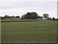 Rear of the Saxtead Mill,Thompsons Bus Garage & Castle Veterinary Group