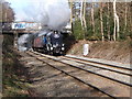 Sir Nigel Gresley Steam Special