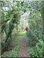 Footpath between Mynydd Llan and Ysceifiog