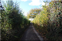 TQ6054 : Winfield Lane by N Chadwick