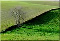 Countryside near Compton Valence